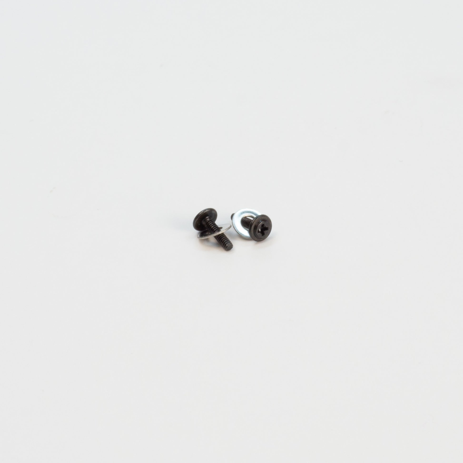 Pair of Renaissance N64 Gate screws with washers. Shows the thread as well as the head of the screw