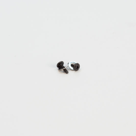 Pair of Renaissance N64 Gate screws with washers. Shows the thread as well as the head of the screw